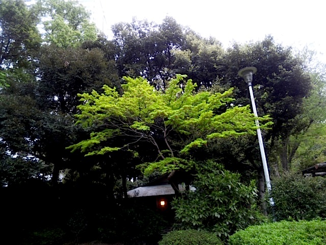 120426_135008.jpg