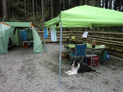 タープ買ったよー＾＾