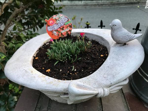 rblog-20180328191025-00.jpg