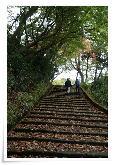 卯辰山三社-7 千杵坂 15.11.16