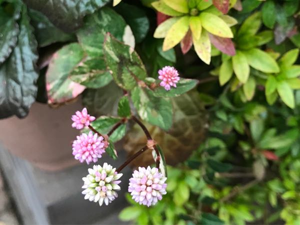 rblog-20181203161122-03.jpg