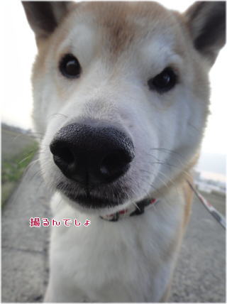 0101朝7.jpg
