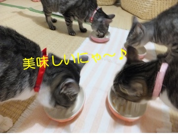 20121010_4.jpg
