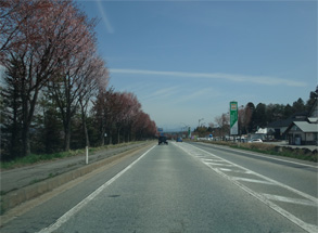 新潟423.jpg