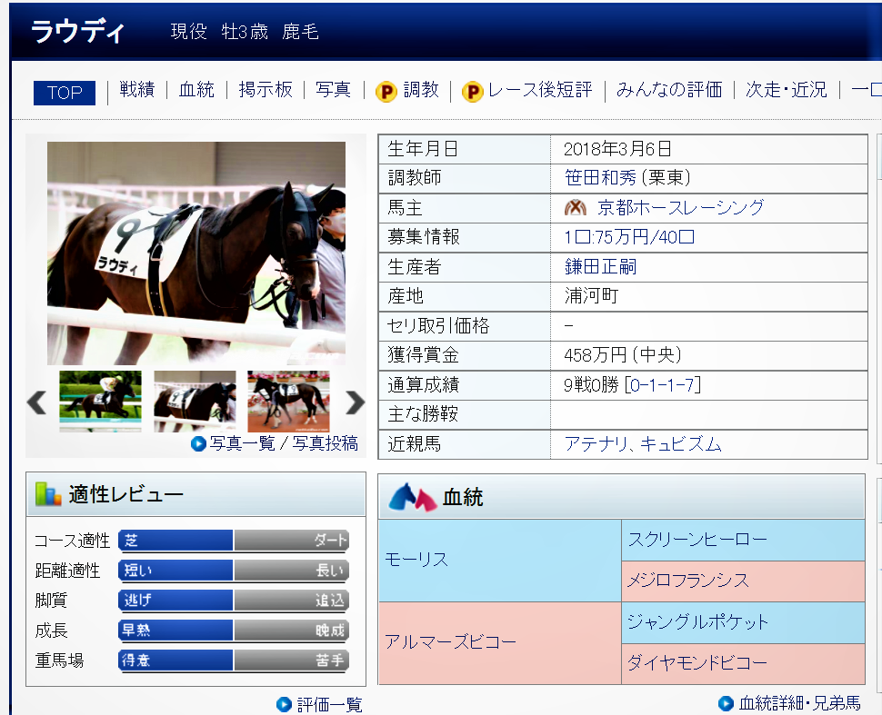 さてこの馬はいったいいくらの値を付けるのか ミノルロドリゴの1口 地方馬主ブログ 楽天ブログ