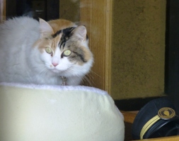 P1010155.JPG
