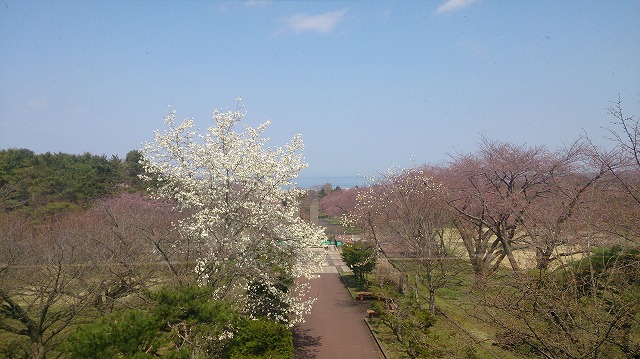 レストランからの風景.jpg