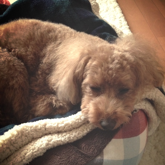 rblog-20131125102450-01.jpg