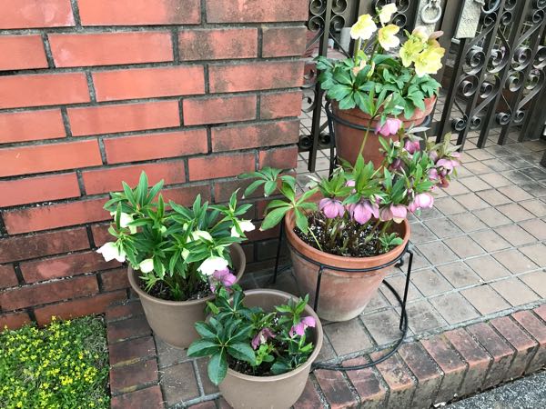 rblog-20180325190849-07.jpg