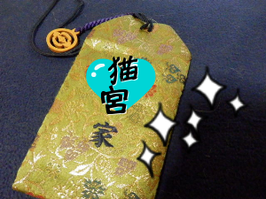 P7050005.png
