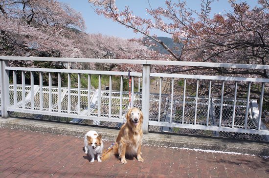 2014-0421-12.jpg