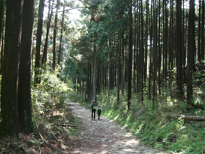 DSCF9192.JPG