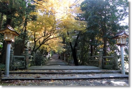白山比メ神社-3 表参道-1 13.11.27