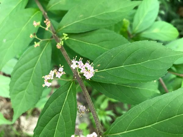 rblog-20180628172147-06.jpg