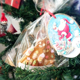 2014-12-23-11-09-04_deco.jpg