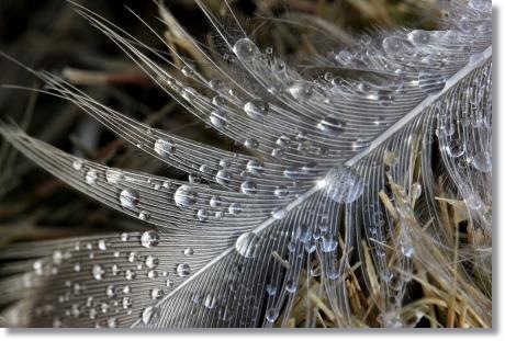 大野湊緑地公園-23 羽-1 15.1.21