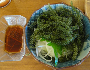 石垣219.jpg