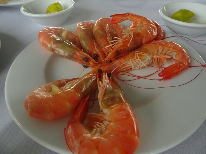 DSC09480_R.JPG