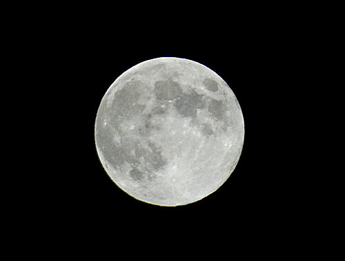 moon (1).jpeg