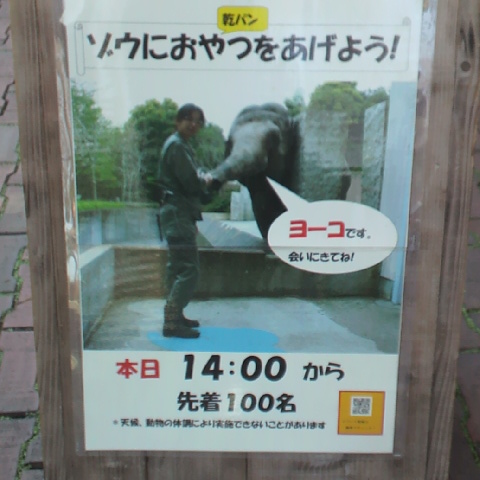 2012040113490000.JPG