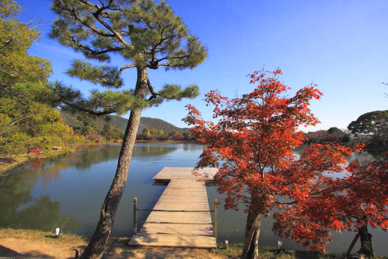 大覚寺_007-大沢の池.jpg