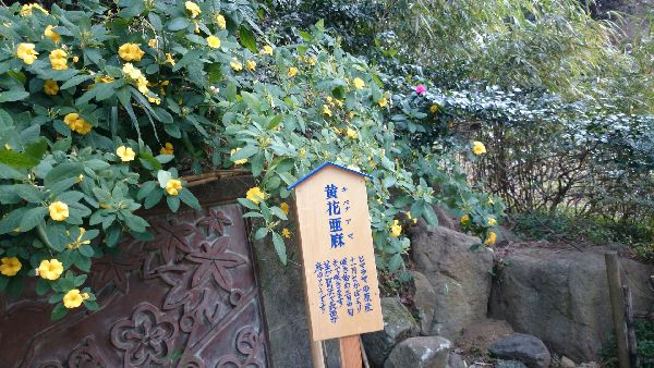 atamibaien6