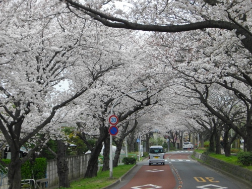 水元公園 (2) (500x375).jpg