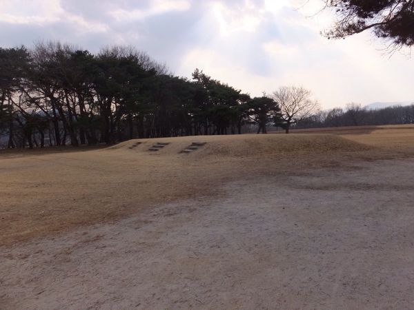 rblog-20150201210800-01.jpg