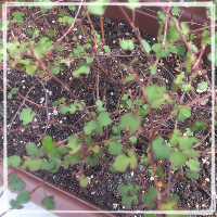 rblog-20131101225341-00.png