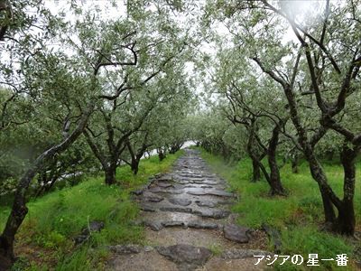 20160510 小豆島一周4