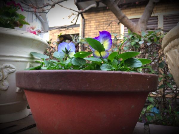 rblog-20161226172939-05.jpg