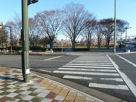 2013.3.26 011.JPG