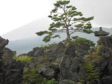DSCN0151.JPG