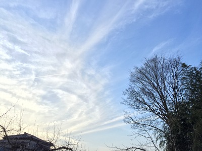 s-IMG_5078.jpg