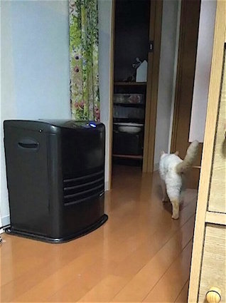 20160118225525_p.jpg