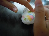 DSCN4477.jpg