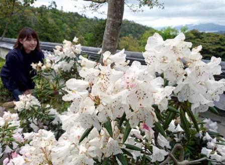 20160423miyadu.jpg