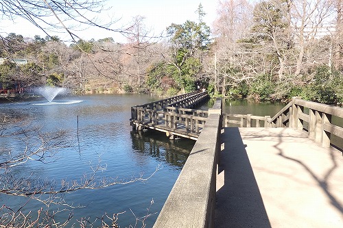 公園の橋