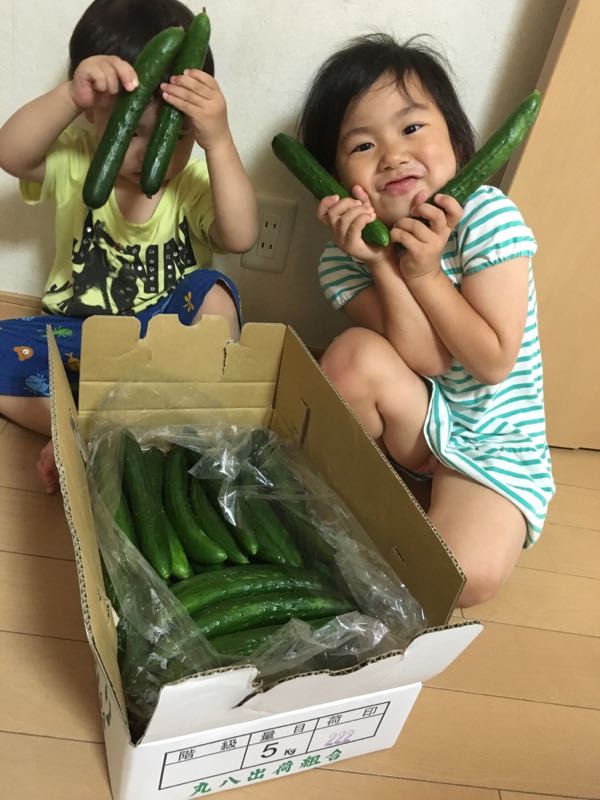 rblog-20160622003012-02.jpg