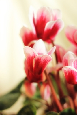 20130119-3.JPG