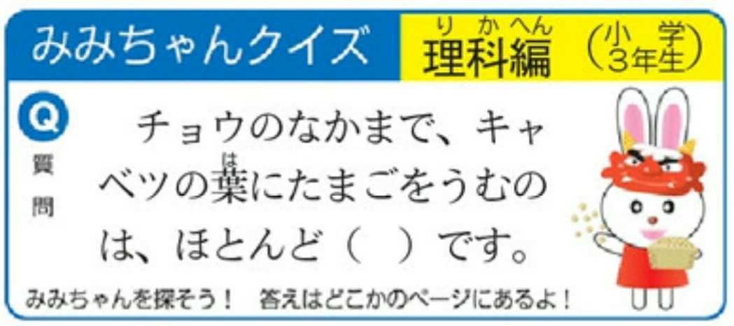 みみちゃんクイズ 21 02 25 小３ 理科 ワッショイ教授のどんとこい 日常現象 楽天ブログ