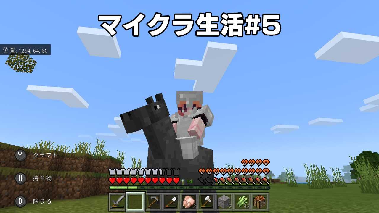 マイクラ生活 5 はるママの徒然日記 楽天ブログ