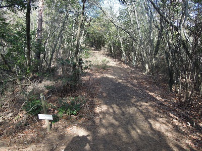 DSCN6300s.jpg