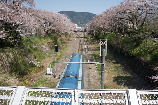 2014-0421-09.jpg