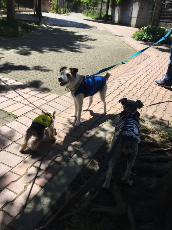 rblog-20160513013832-02.jpg