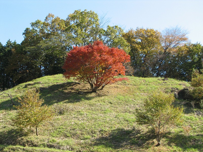 ポツンと紅葉