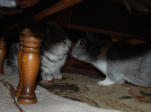 DSC_0118.JPG