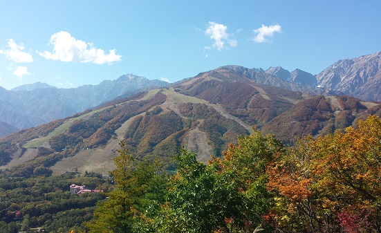 6.白馬.jpg