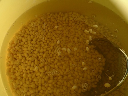 01_soybeans