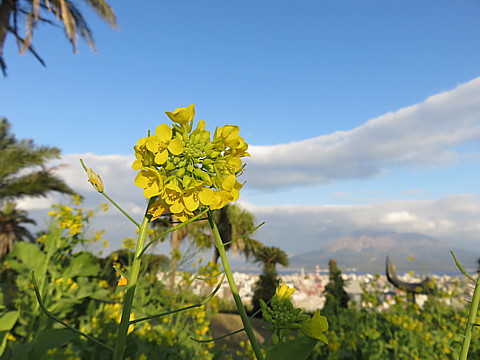 25 IMG_0700.jpg